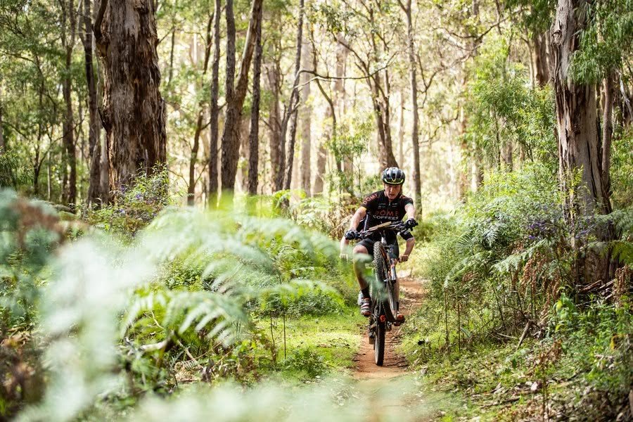 Ben riding a mountain bike along a forest trail
